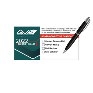 Ballot